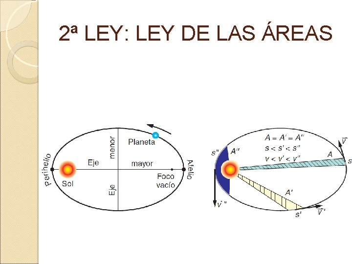 2ª LEY: LEY DE LAS ÁREAS 