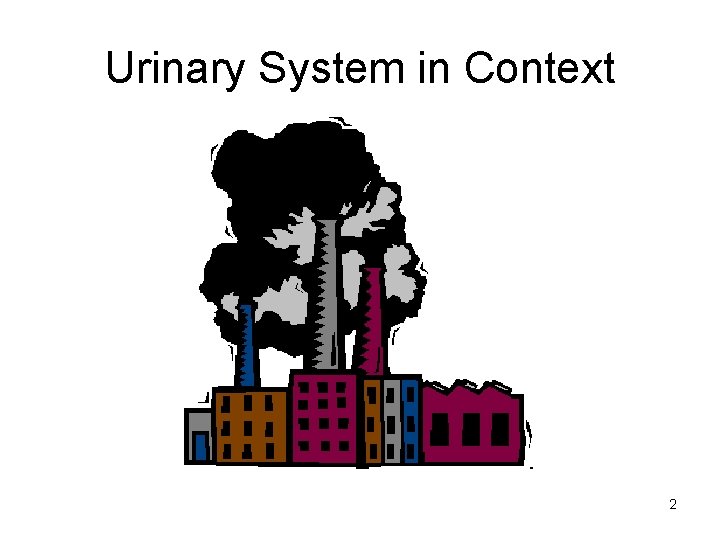 Urinary System in Context 2 