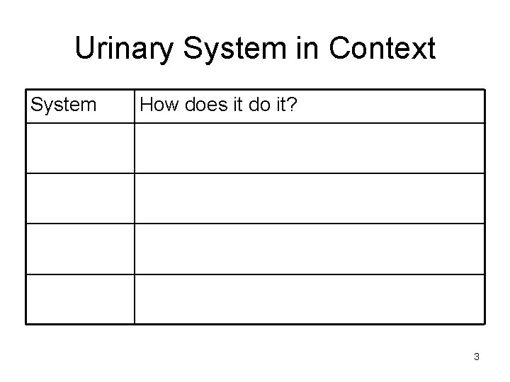 Urinary System in Context System How does it do it? 3 