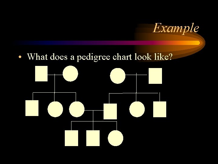 Example • What does a pedigree chart look like? 