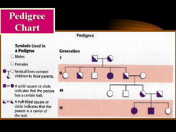 Pedigree Chart 