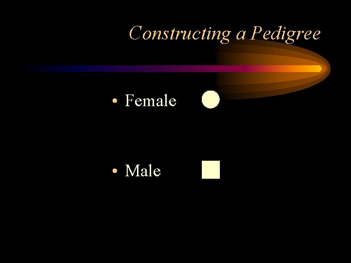 Constructing a Pedigree • Female • Male 