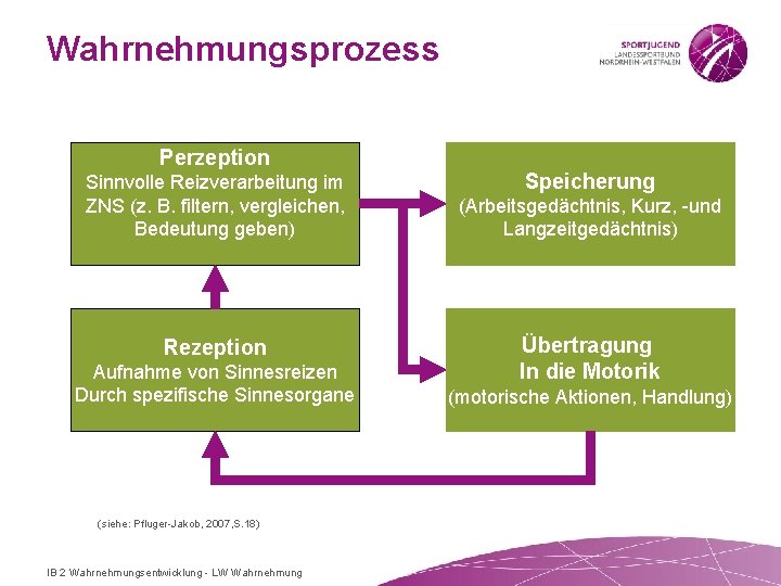 Wahrnehmungsprozess Perzeption Sinnvolle Reizverarbeitung im ZNS (z. B. filtern, vergleichen, Bedeutung geben) Rezeption Aufnahme