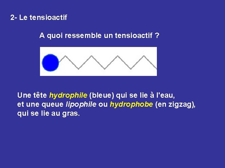 2 - Le tensioactif A quoi ressemble un tensioactif ? Une tête hydrophile (bleue)