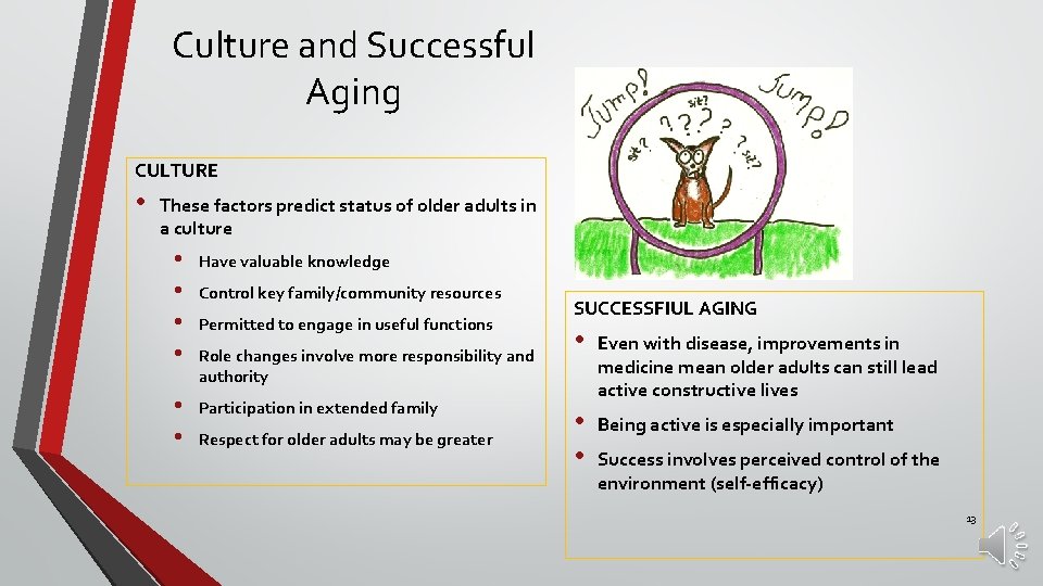 Culture and Successful Aging CULTURE • These factors predict status of older adults in