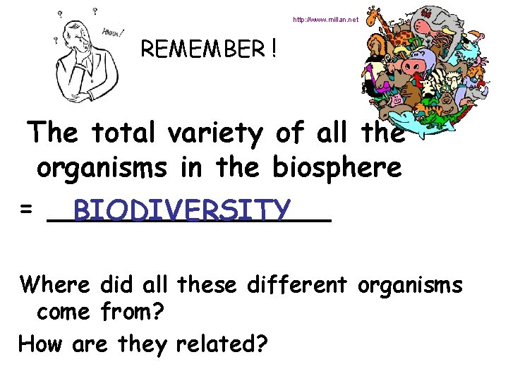 http: //www. millan. net REMEMBER ! The total variety of all the organisms in