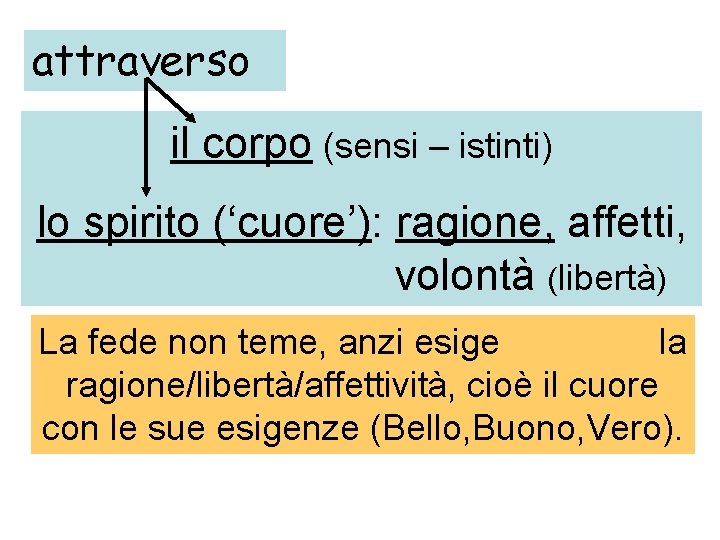 attraverso il corpo (sensi – istinti) lo spirito (‘cuore’): ragione, affetti, volontà (libertà) La