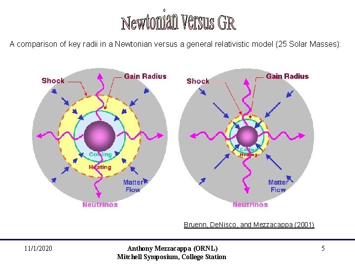 A comparison of key radii in a Newtonian versus a general relativistic model (25