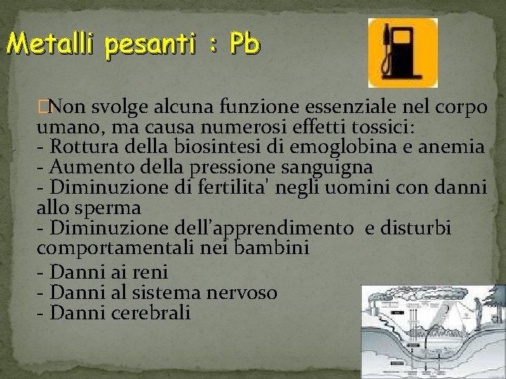 Metalli pesanti : Pb �Non svolge alcuna funzione essenziale nel corpo umano, ma causa