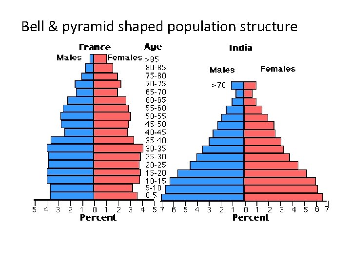 Bell & pyramid shaped population structure 