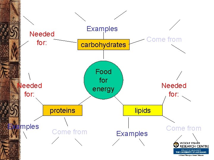 Needed for: Examples carbohydrates Food for energy Needed for: proteins Examples Come from Needed