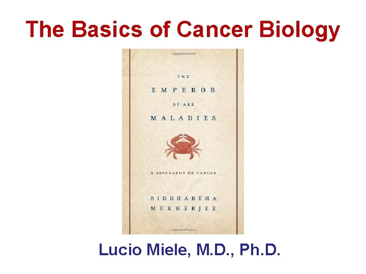 The Basics of Cancer Biology • Lucio Miele, M. D. , Ph. D. 