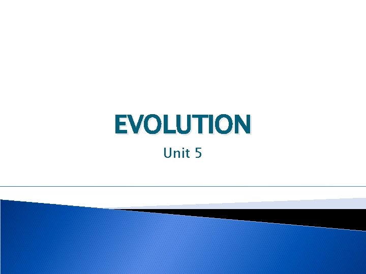 EVOLUTION Unit 5 