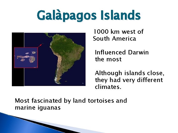 Galàpagos Islands 1000 km west of South America Influenced Darwin the most Although islands