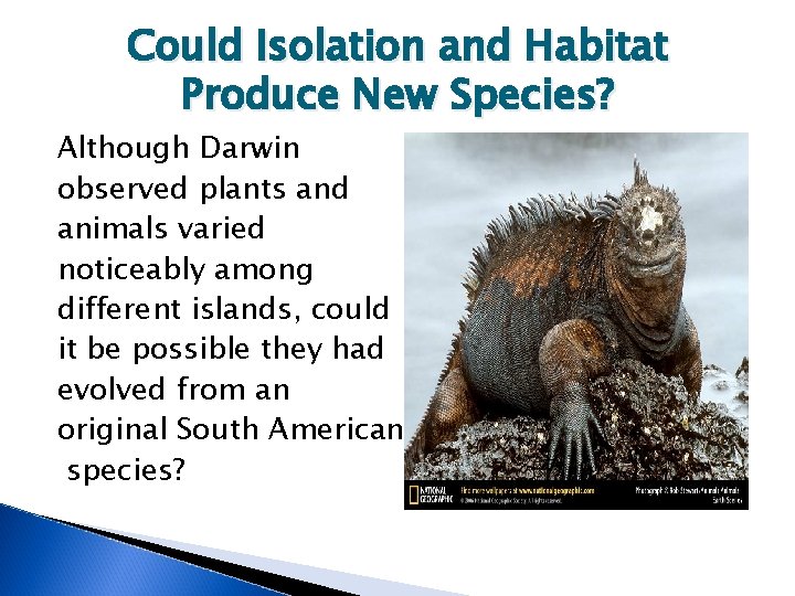 Could Isolation and Habitat Produce New Species? Although Darwin observed plants and animals varied