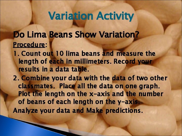 Variation Activity Do Lima Beans Show Variation? Procedure: 1. Count out 10 lima beans