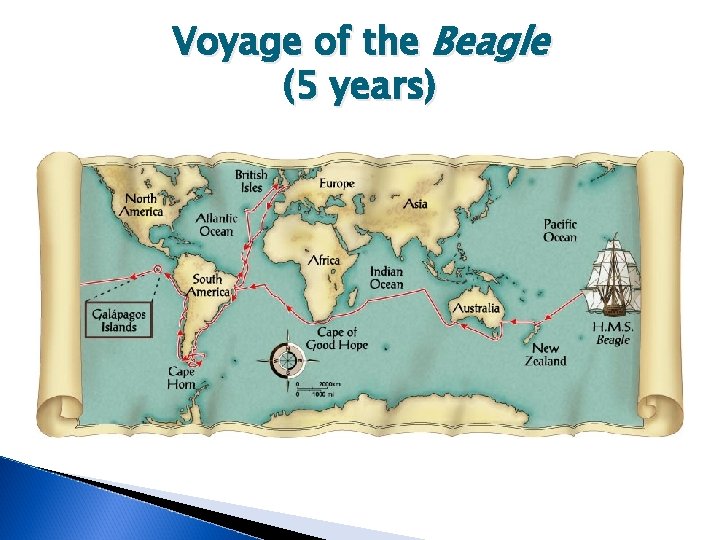 Voyage of the Beagle (5 years) 