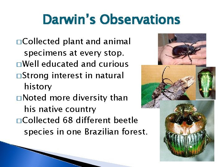 Darwin’s Observations � Collected plant and animal specimens at every stop. � Well educated