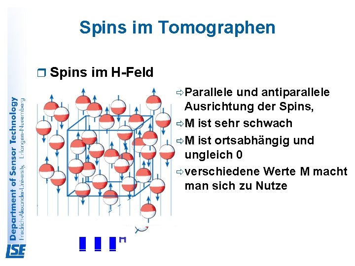 Spins im Tomographen r Spins im H-Feld ðParallele und antiparallele Ausrichtung der Spins, ðM