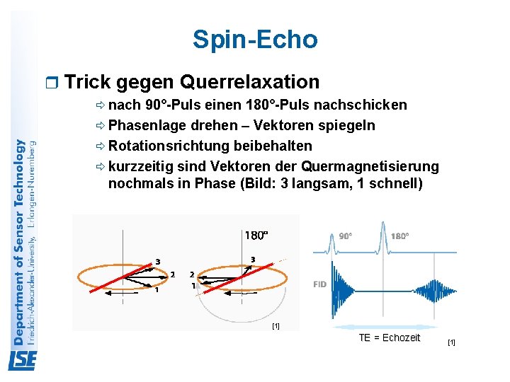 Spin-Echo r Trick gegen Querrelaxation ð nach 90°-Puls einen 180°-Puls nachschicken ð Phasenlage drehen