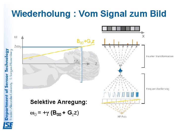 Wiederholung : Vom Signal zum Bild B 00+Gzz Selektive Anregung: ω0 = +γ (B