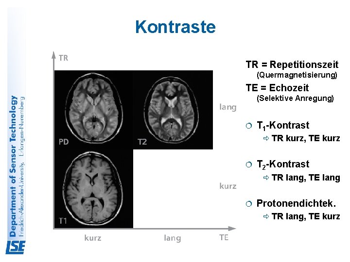 Kontraste TR = Repetitionszeit (Quermagnetisierung) TE = Echozeit (Selektive Anregung) ¦ T 1 -Kontrast