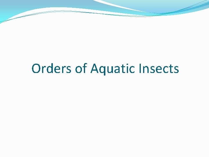 Orders of Aquatic Insects 