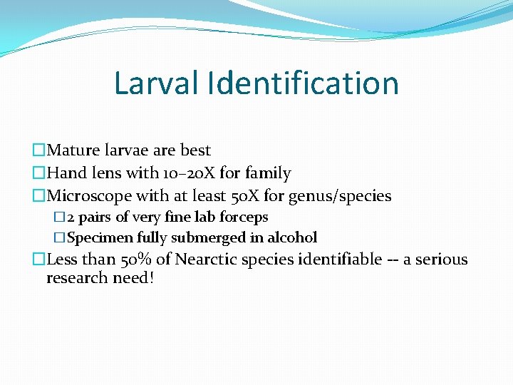 Larval Identification �Mature larvae are best �Hand lens with 10– 20 X for family