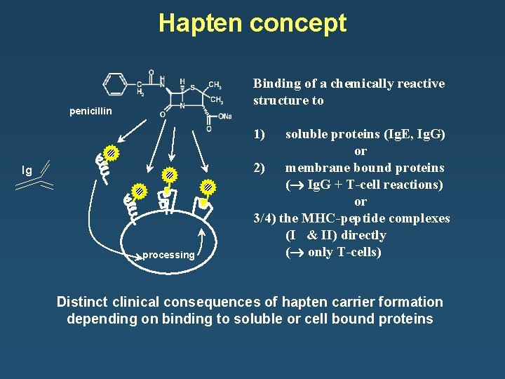 Hapten concept Binding of a chemically reactive structure to penicillin 1) Ig processing soluble