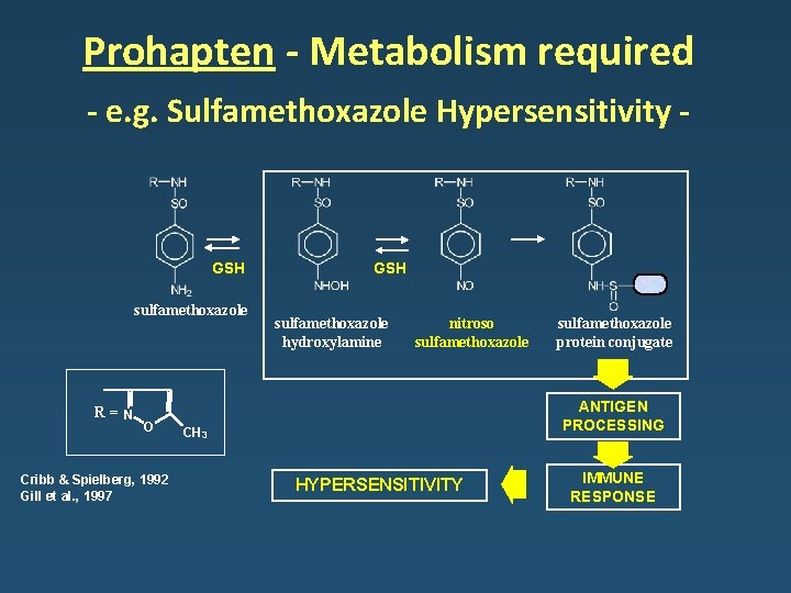 Prohapten - Metabolism required - e. g. Sulfamethoxazole Hypersensitivity - GSH sulfamethoxazole R= N