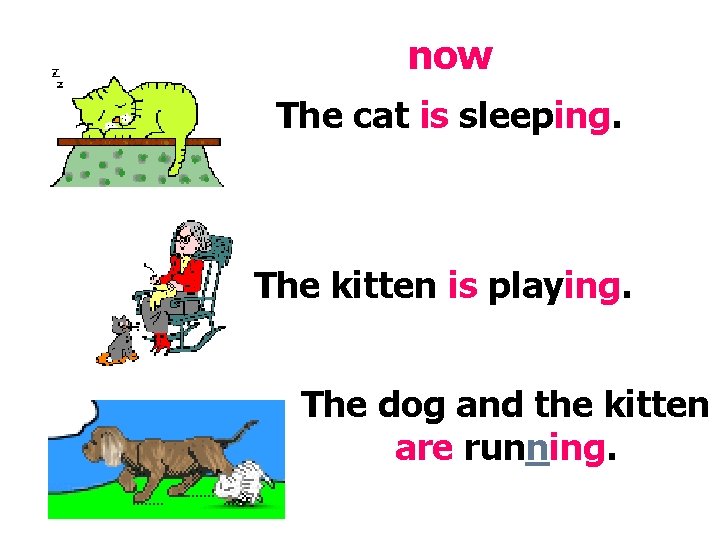 now The cat is sleeping. The kitten is playing. The dog and the kitten now The cat is sleeping. The kitten is playing. The dog and the kitten