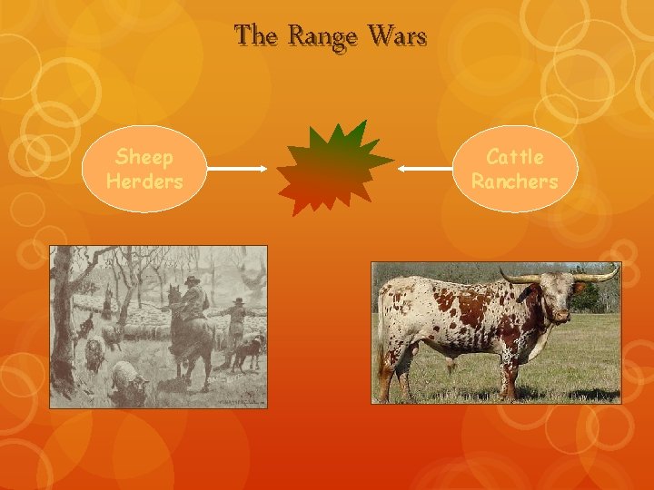 The Range Wars Sheep Herders Cattle Ranchers 