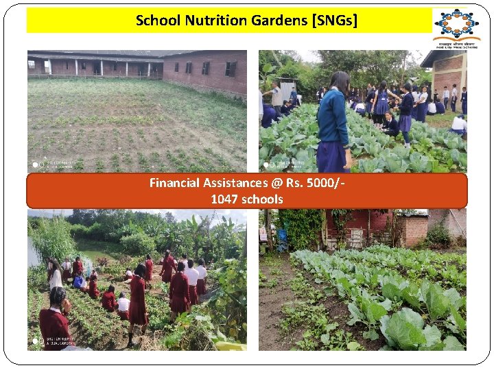 School Nutrition Gardens [SNGs] Financial Assistances @ Rs. 5000/1047 schools 