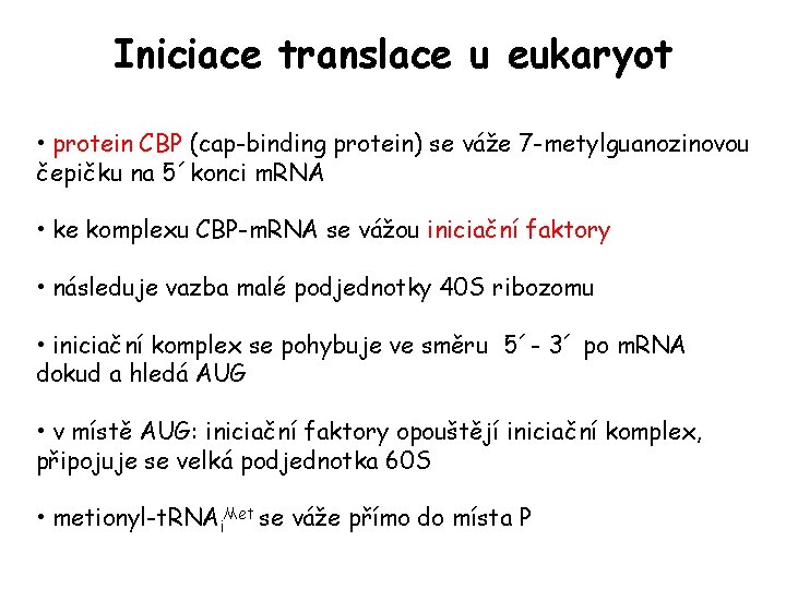 Iniciace translace u eukaryot • protein CBP (cap-binding protein) se váže 7 -metylguanozinovou čepičku Iniciace translace u eukaryot • protein CBP (cap-binding protein) se váže 7 -metylguanozinovou čepičku