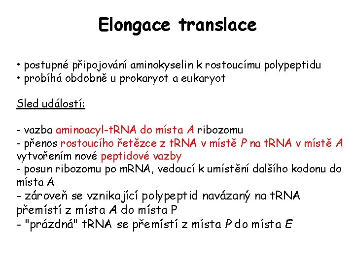 Elongace translace • postupné připojování aminokyselin k rostoucímu polypeptidu • probíhá obdobně u prokaryot Elongace translace • postupné připojování aminokyselin k rostoucímu polypeptidu • probíhá obdobně u prokaryot