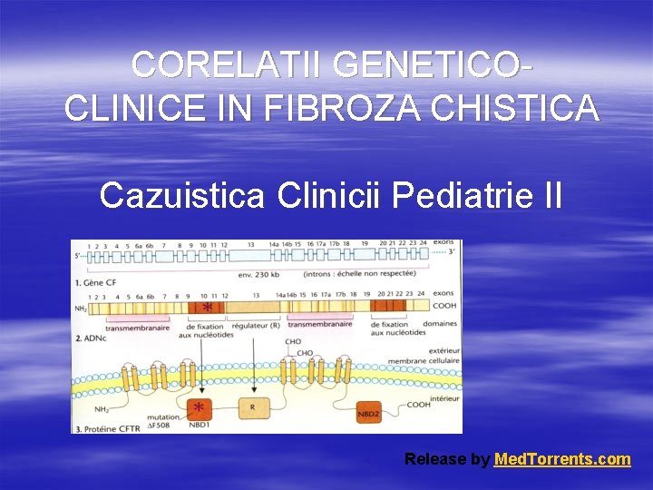 CORELATII GENETICOCLINICE IN FIBROZA CHISTICA Cazuistica Clinicii Pediatrie II Release by Med. Torrents. com