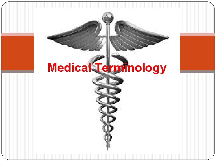 Medical Terminology 