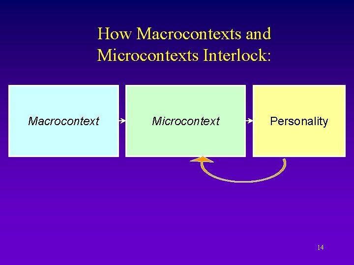 How Macrocontexts and Microcontexts Interlock: Macrocontext Microcontext Personality 14 