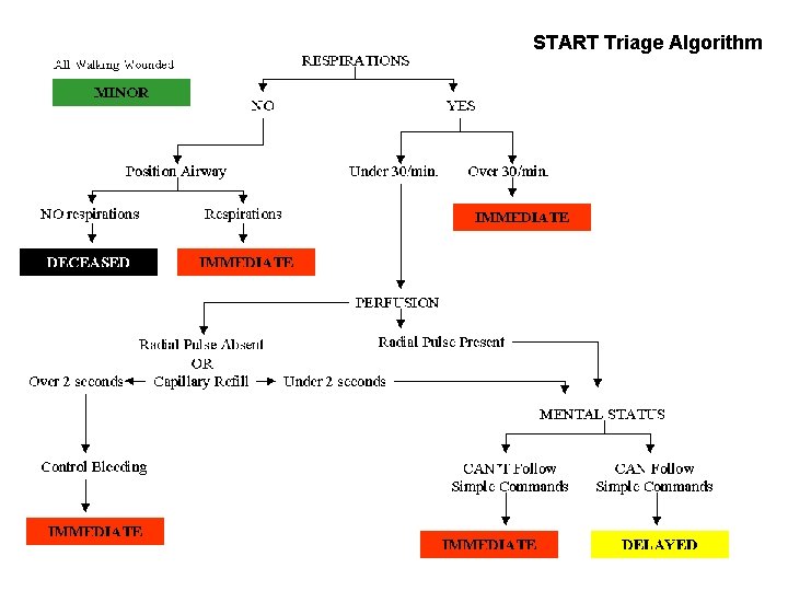 START Triage Algorithm 