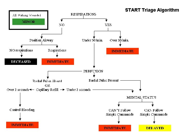 START Triage Algorithm 