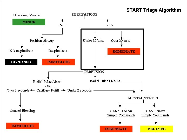 START Triage Algorithm 