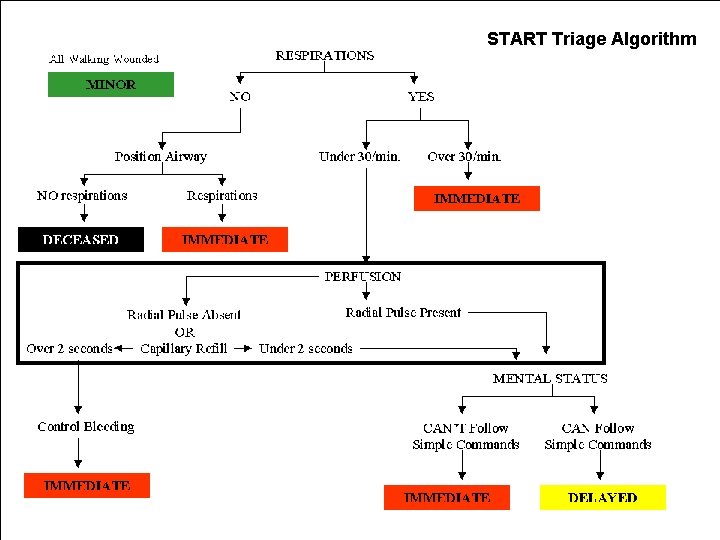 START Triage Algorithm 