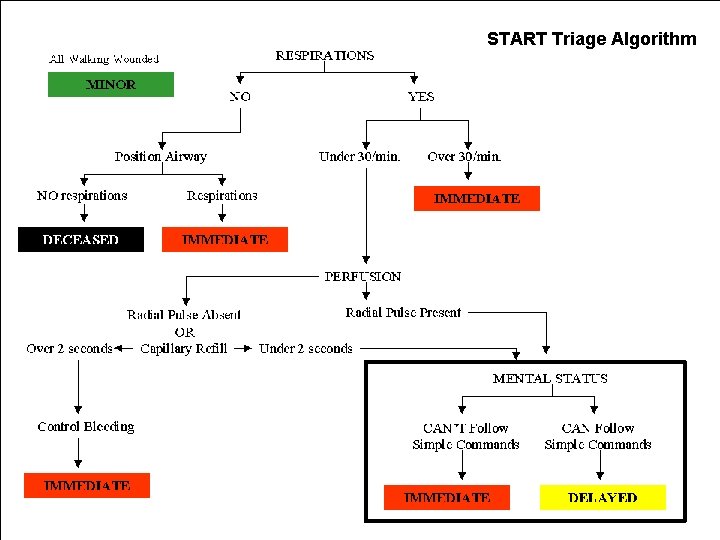 START Triage Algorithm 