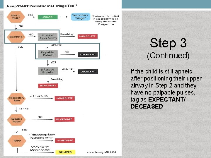 Step 3 (Continued) If the child is still apneic after positioning their upper airway