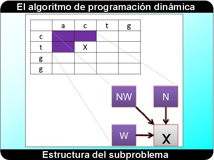 El algoritmo de programación dinámica Estructura del subproblema 