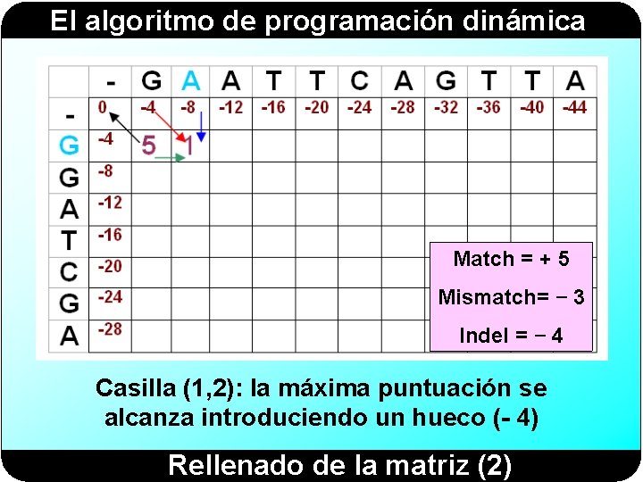 El algoritmo de programación dinámica Match = + 5 Mismatch= − 3 Indel =