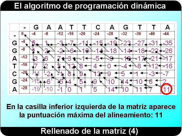 El algoritmo de programación dinámica En la casilla inferior izquierda de la matriz aparece