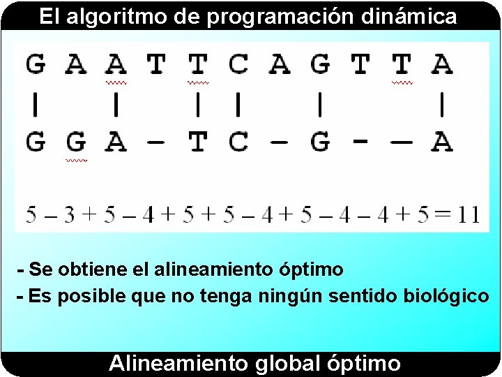 El algoritmo de programación dinámica - Se obtiene el alineamiento óptimo - Es posible