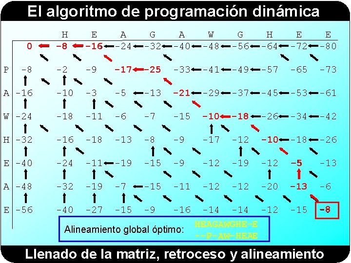 El algoritmo de programación dinámica 0 H -8 E -16 A -24 G -32