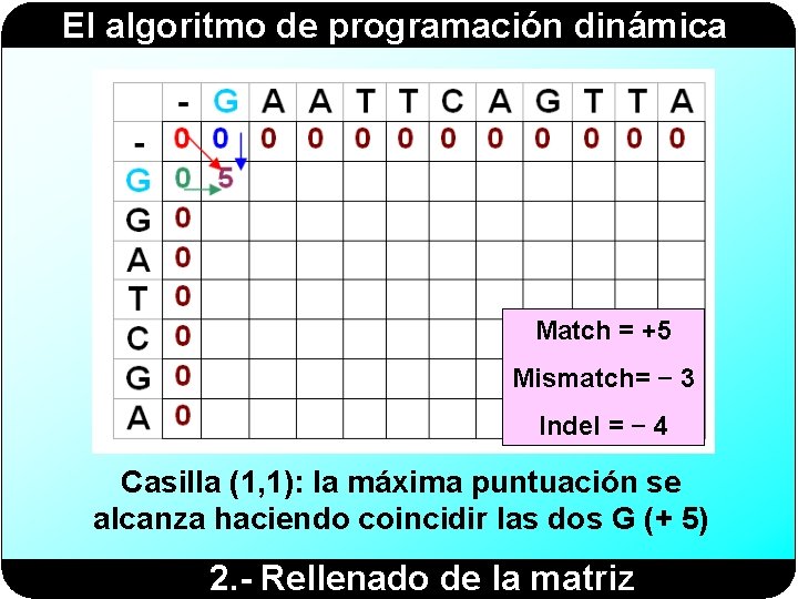 El algoritmo de programación dinámica Match = +5 Mismatch= − 3 Indel = −